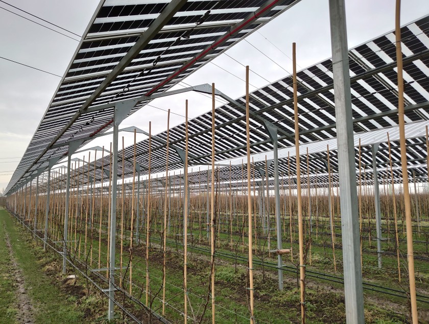 Agrivoltaïque en plein champ